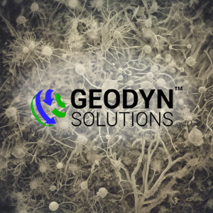 Read more about the article Geodyn Solutions: Leading the Charge in Eco-Friendly Plastic Waste Remediation
