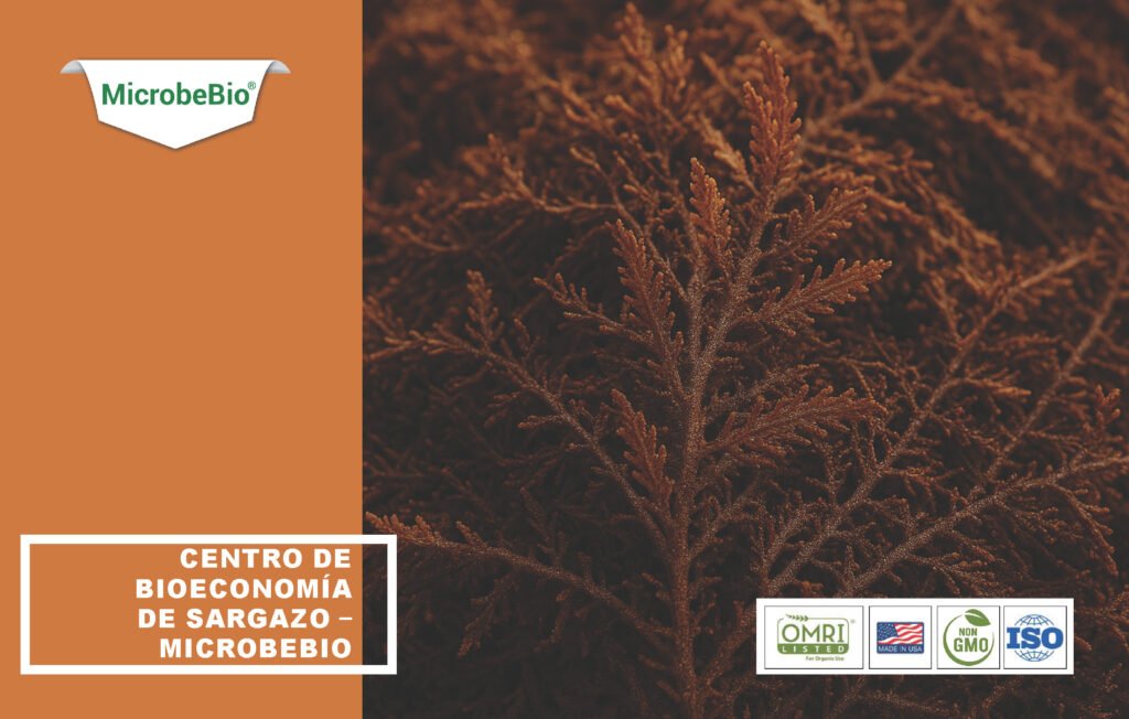 Centro de Bioeconomía de Sargazo – MicrobeBio