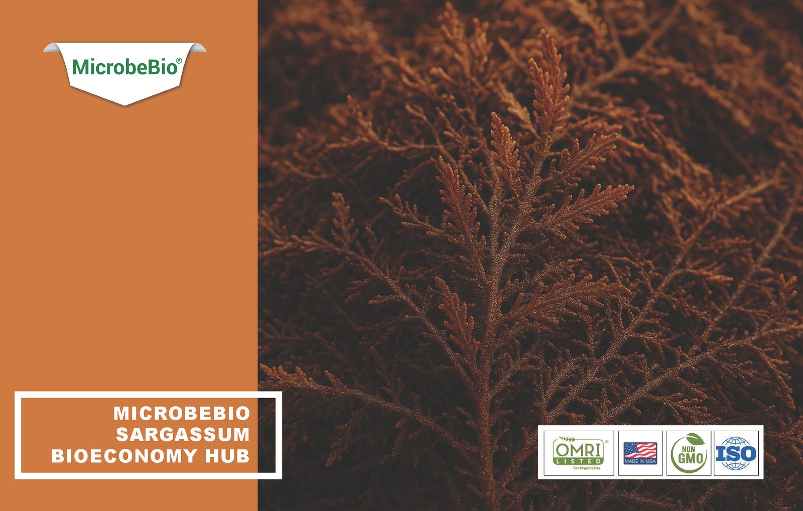MicrobeBio Sargassum Bioeconomy Hub