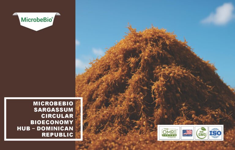 Read more about the article Optimized $25M Sargassum Bioeconomy Hub with Built-In Contingency and Revenue Breakdown