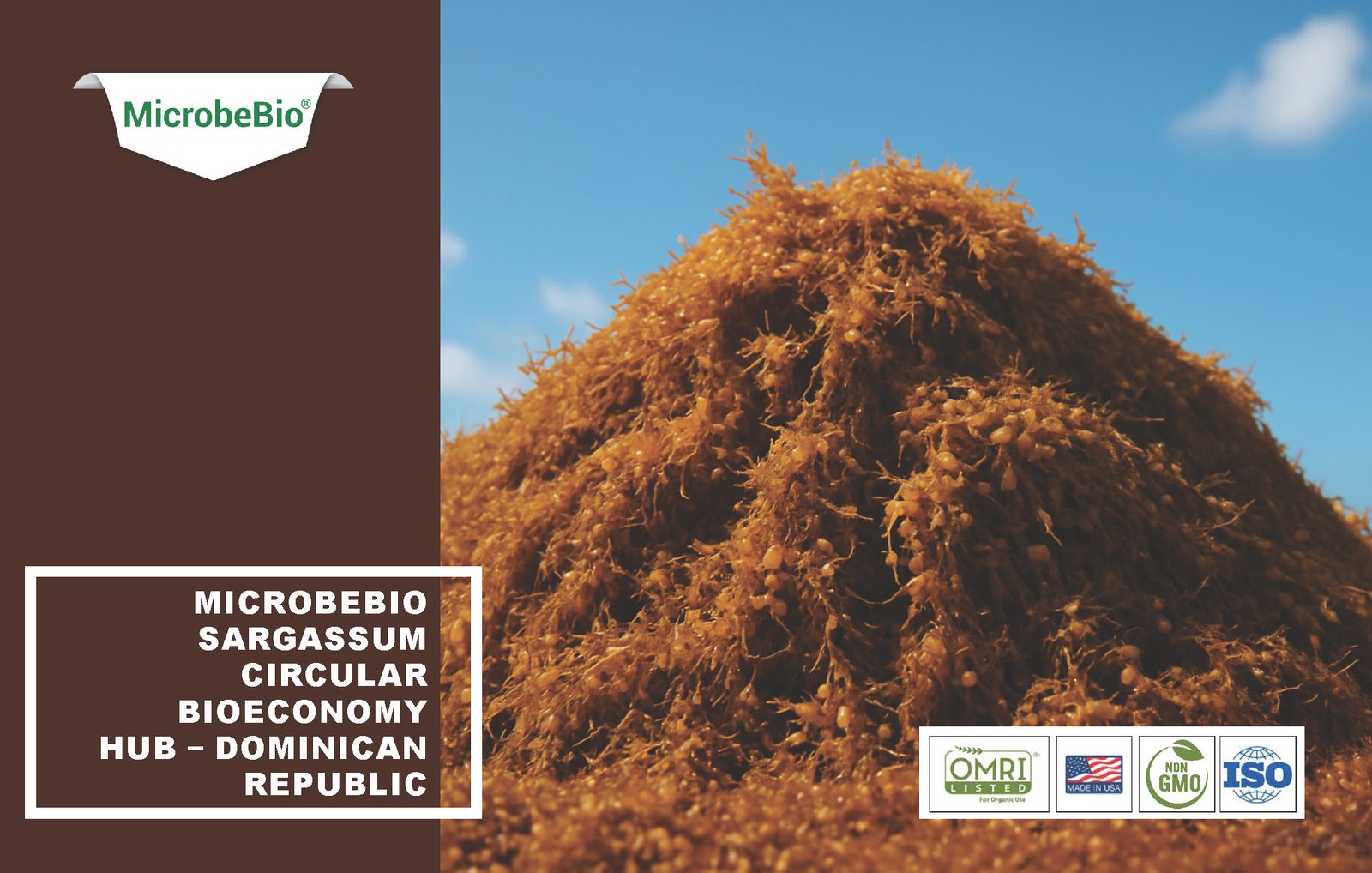 MicrobeBio Sargassum Circular Bioeconomy Hub – Dominican Republic