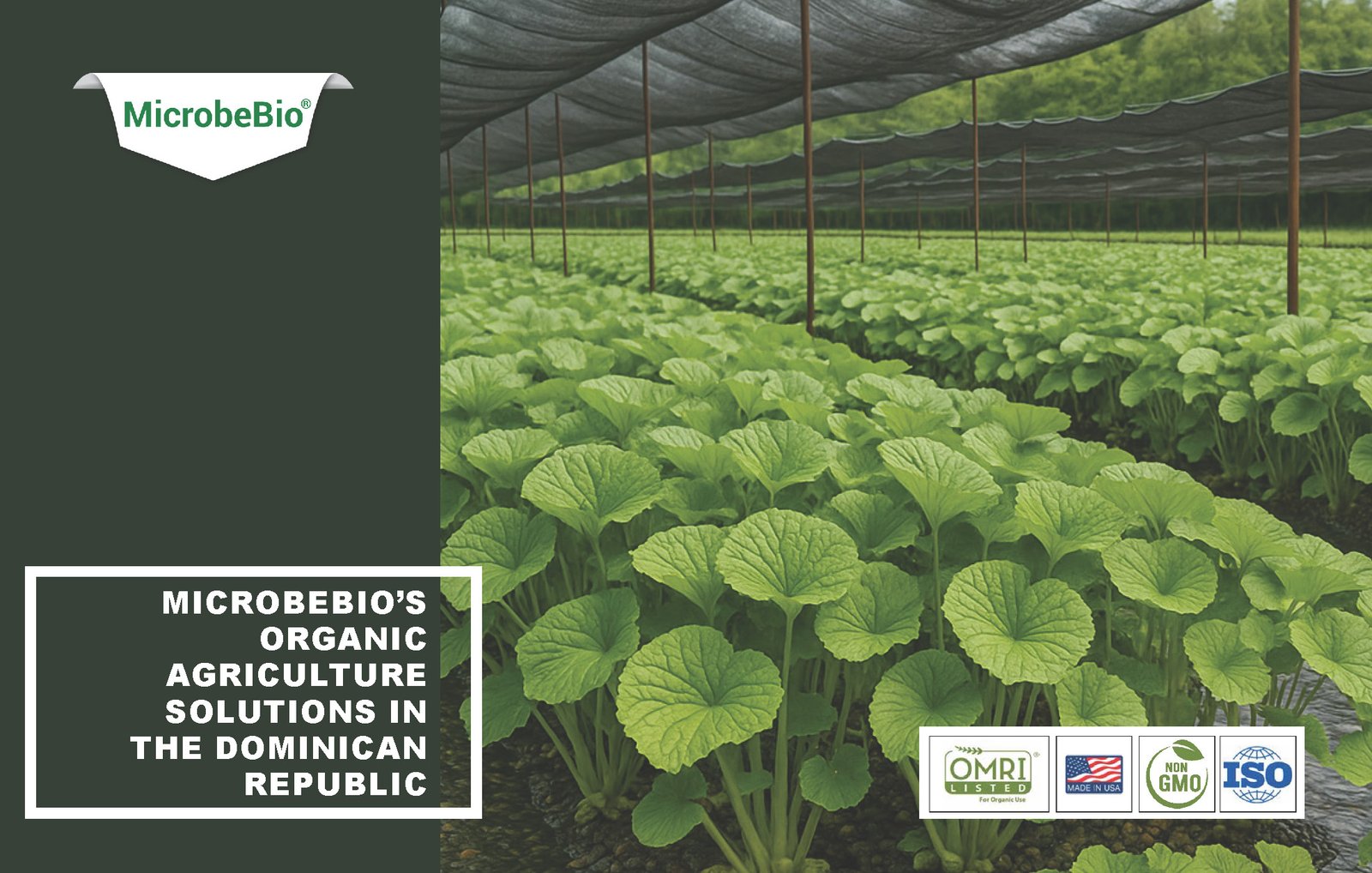 Read more about the article Microbebio’s Organic Agriculture Solutions in the Dominican Republic