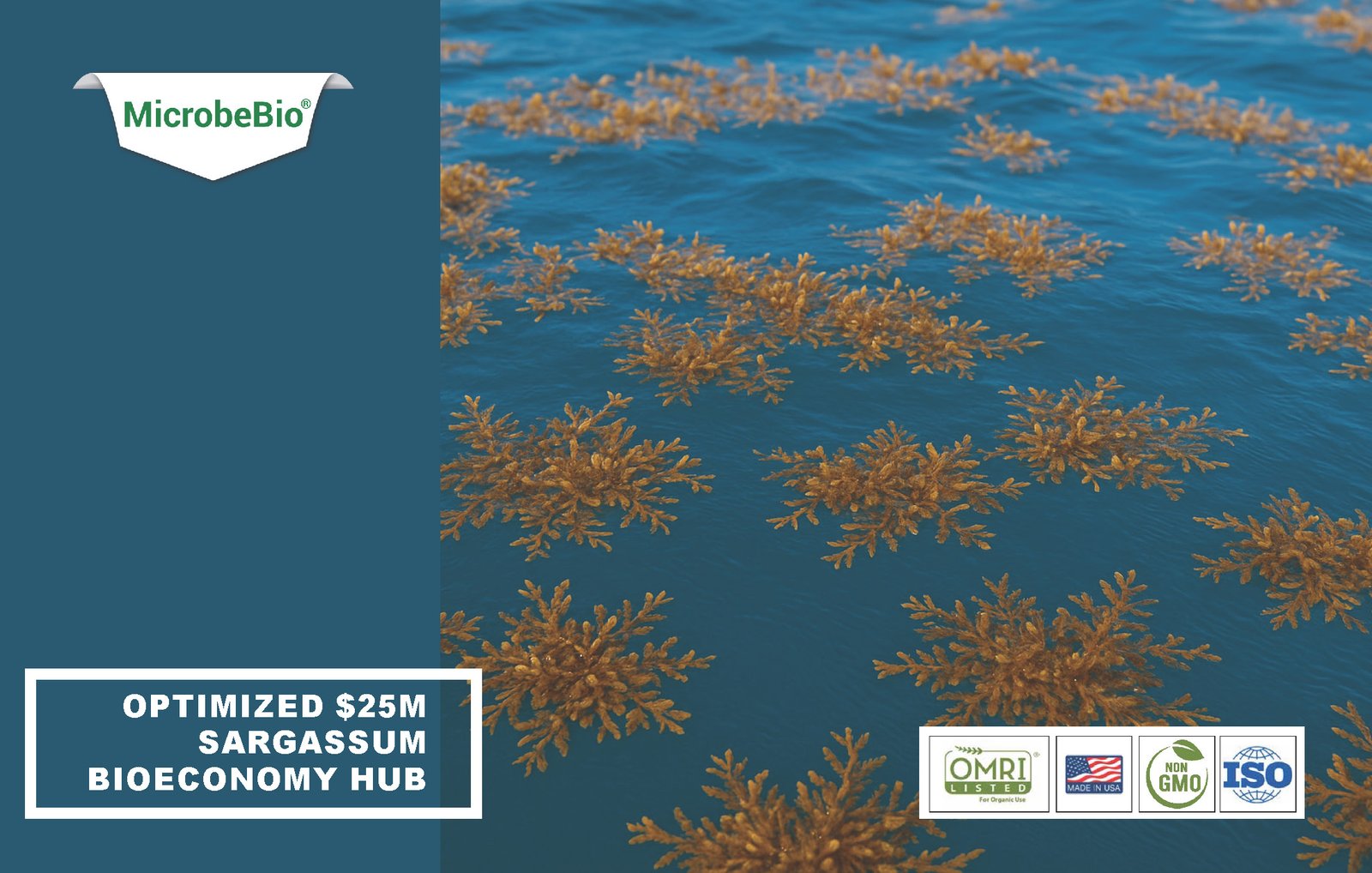 Optimized $25M Sargassum Bioeconomy Hub