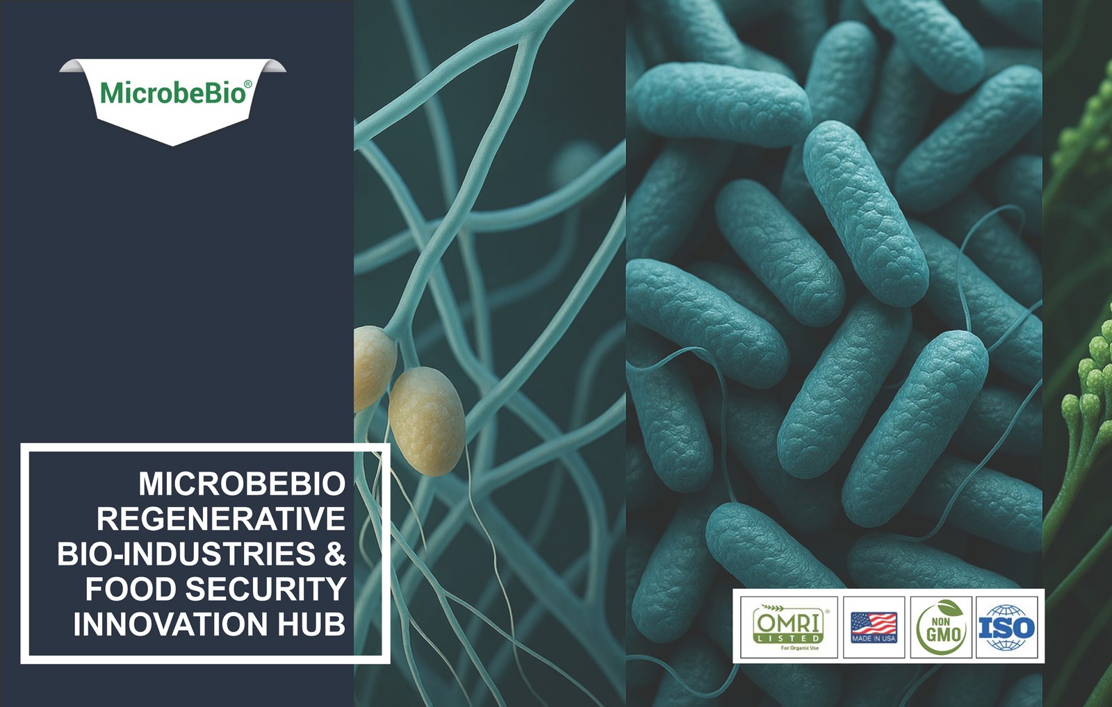 MicrobeBio Regenerative Bio-Industries -Food Security Innovation Hub